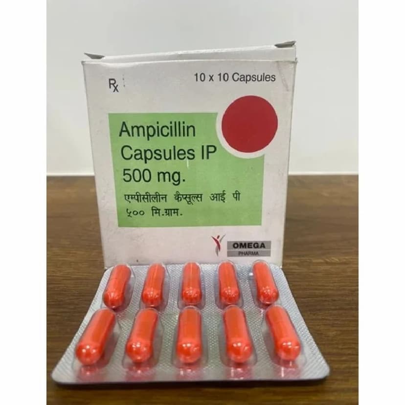 Ampicillin Capsules 500 Mg