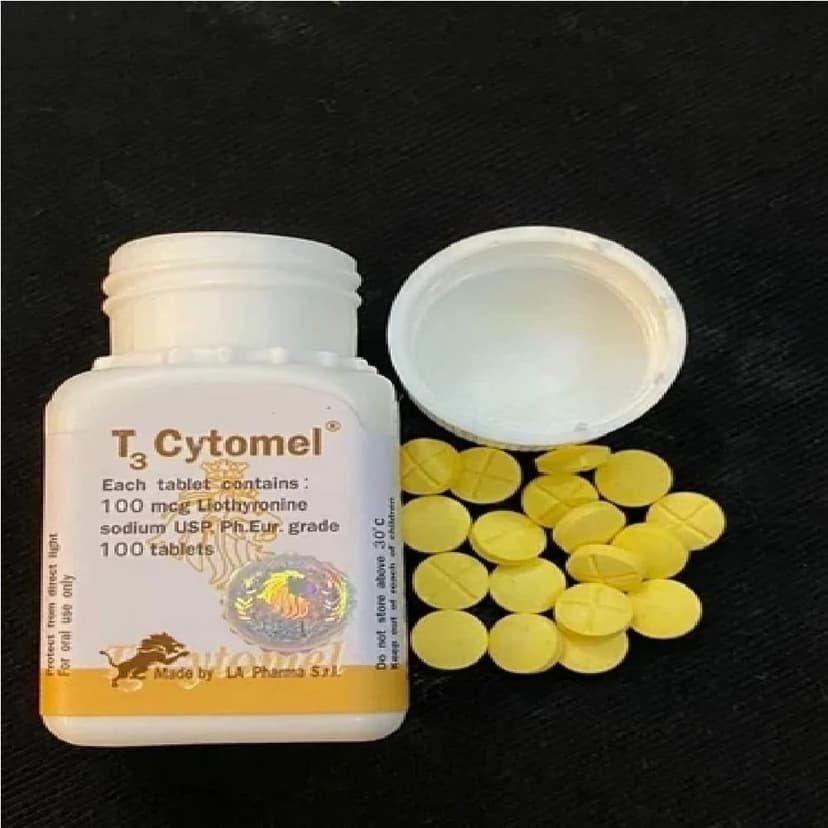T3 Cytomel Tablets
